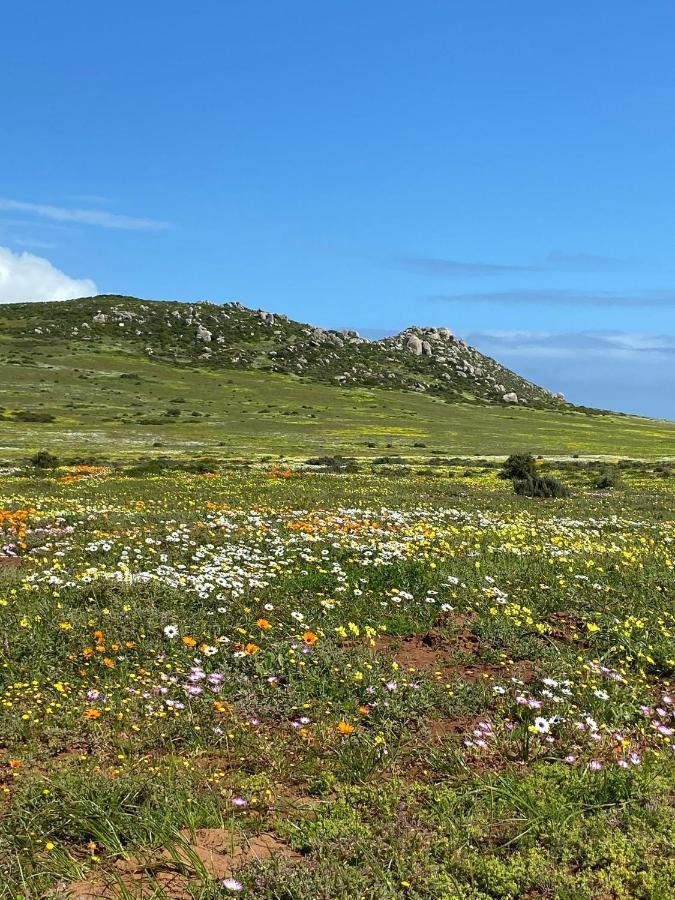 Studio On Fairway Langebaan Zewnętrze zdjęcie